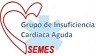 ICASEMES